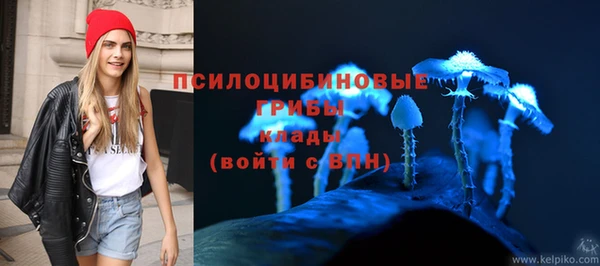 сатива Наволоки
