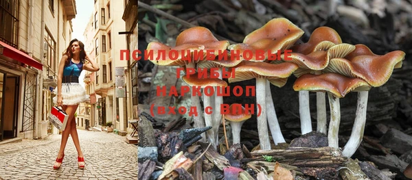 ГАЛЛЮЦИНОГЕННЫЕ ГРИБЫ Навашино