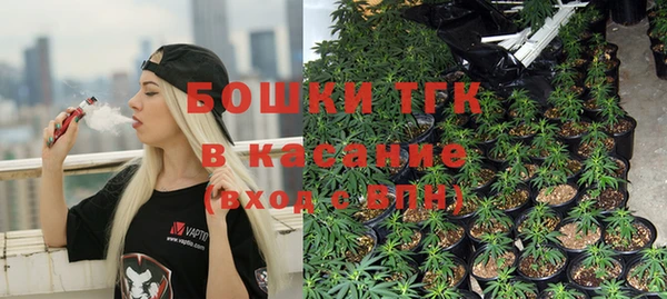 сатива Наволоки