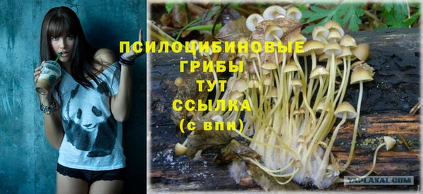 ГАЛЛЮЦИНОГЕННЫЕ ГРИБЫ Навашино