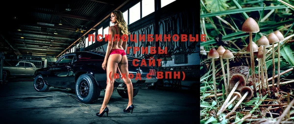 сатива Наволоки