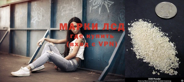 ГАЛЛЮЦИНОГЕННЫЕ ГРИБЫ Навашино