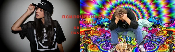 ГАЛЛЮЦИНОГЕННЫЕ ГРИБЫ Навашино