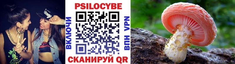 Псилоцибиновые грибы GOLDEN TEACHER  мориарти клад  Владивосток  блэк спрут  
