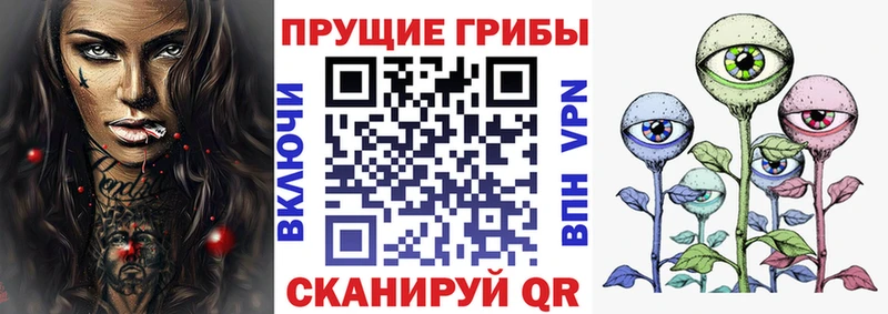 Галлюциногенные грибы GOLDEN TEACHER Владивосток