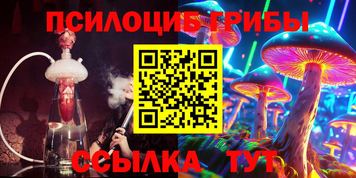 Псилоцибиновые грибы мицелий Владивосток