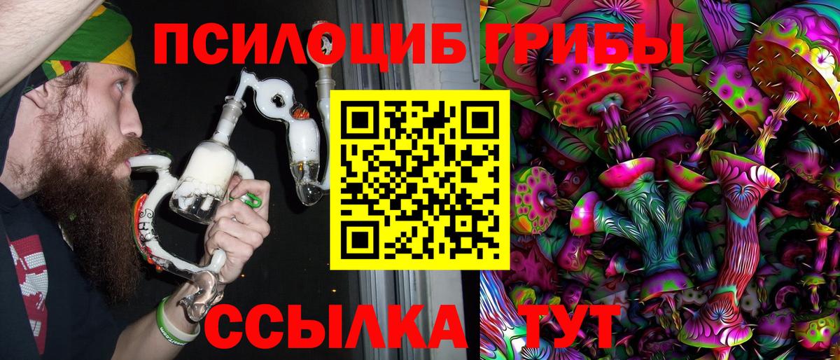 Псилоцибиновые грибы мицелий  Вход с VPN  Псилоцибиновые грибы Psilocybine cubensis  Владивосток 