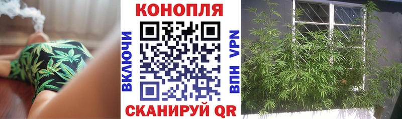 Марихуана MAZAR  как найти закладки  Владивосток 